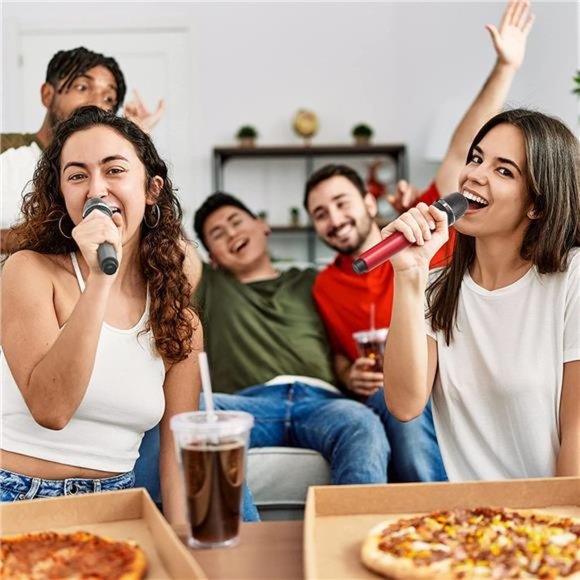 Wireless Microphone, Dual 2 UHF Cordless Mic System with Rechargeable Receiver - Picture 7 of 7